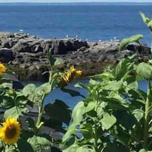 LISA KRISTOFF/Boothbay Register