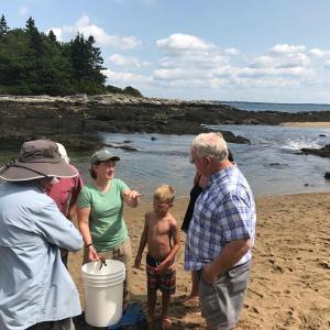 Explore the intertidal zone of Reid State Park's Griffith's Head with KELT Naturalists on Aug. 7. Courtesy of KELT