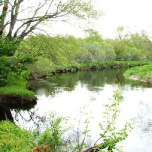 View of St. George River from Appleton Preserve. Courtesy of the Georges River Land Trust