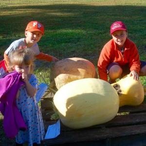 Growers James Sikorsky, 8, brother Matthew, 5, and sister Emily, 2, of Freeport. ART MAYERS/Wiscasset Newspaper