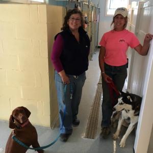 Boothbay Canine, Carole Jordan, dogs, kennel, business