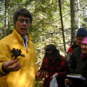 Damariscotta River Association is hosting a workshop with noted mycologist and author Greg Marley Sept. 29. Courtesy photo