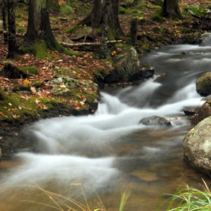 Jordan Stream in Acadia is one of the images by Bruce Burnham included in the Southport Memorial Library’s final show November through December. Courtesy of Bruce Burnham Bruce Burnham