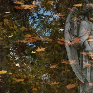 “Falling Leaves” by Mark Stern took Best In Show honors in 2018. Courtesy of MPS Mark Stern