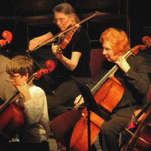 Members of the Seacoast Orchestra. Hear them at the Lincoln Theater Tuesday, Dec. 4. Courtesy of Jenny Begin