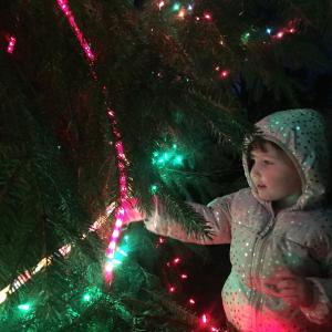 Savannah Robinson, 3, of Alna checks out the newly lit tree on the Wiscasset Common Dec. 1. SUSAN JOHNS/Wiscasset Newspaper