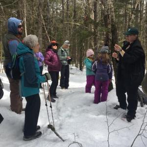 Join KELT on January 20 to appreciate trees at Thorne Head Preserve in Bath. Courtesy of KELT