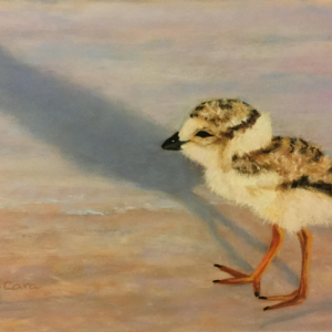 Cheryl DiCara