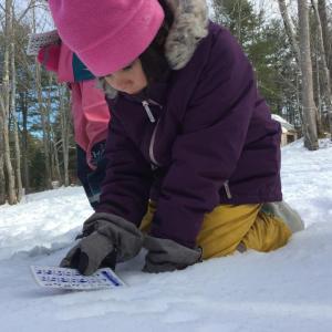 A Juniper Hill School student identifies animal tracks in the snow. Courtesy of Juniper Hill School