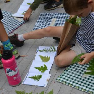 Kids 6-12 years old are invited to the first summer of KELT Kids Summer Day camp held in Arrowsic this July and August. Courtesy of KELT