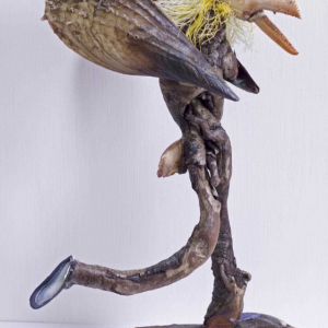 Robin Voigt
