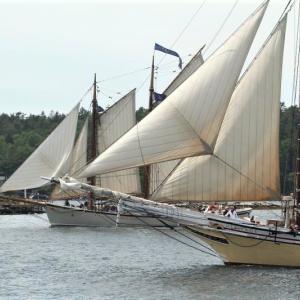 These graceful schooners will return for the 2019 Boothbay Harbor WIndjammer Days Festival June 23-29. STEVE EDWARDS/Boothbay Register