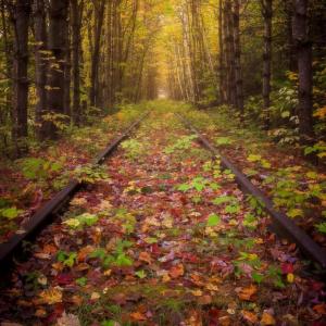 Doug Van Kampen photo