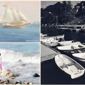 Three samples of photos to write about. Photo courtesy of Fukurou