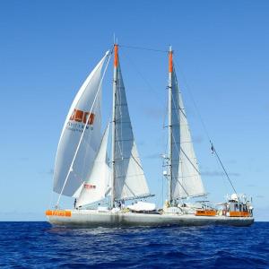 Tara at sea - Maeva Bardy Tara Expeditions Foundation