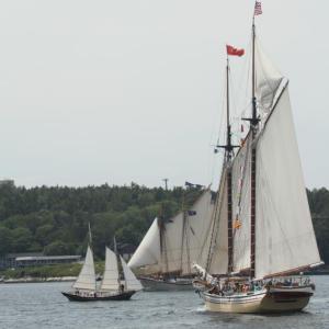 Boothbay Harbor Windjammer Days 2019: June 23-29.
STEVE EDWARDS/Boothbay Register