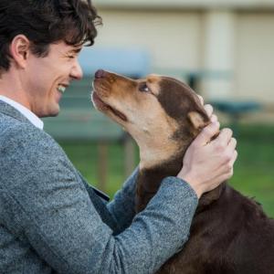 “A Dog’s Way Home” plays at Harbor Theater this week. Bring the Kleenex. Courtesy of the theater