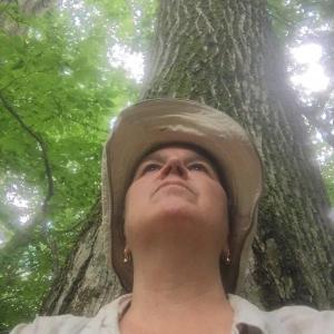 Nature and Forest Therapy guide Susan Bickford will lead a forest bathing walk. Courtesy of Midcoast Conservancy
