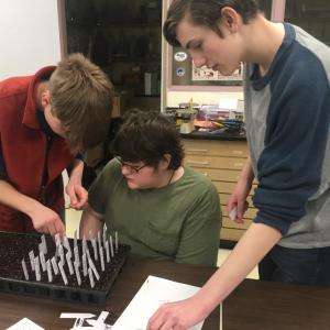 Students, from left, Mason Davenport, Jason Caton and Evan Strong work together to plant and label heirloom tomato seeds for the Morris Farm Community Plant Sale May 18. Courtesy photo