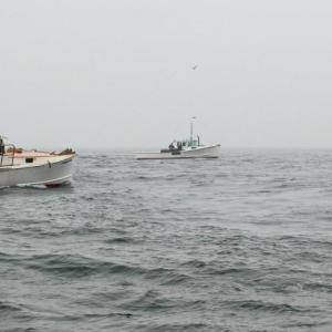 Heather Leslie and Carl Wilson will discuss coastal resiliency at 10:30 a.m. June 28 at the University of Maine Darling Marine Center in Walpole. Carl Wilson photo