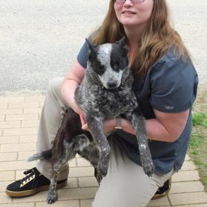 Dr. Jenny Marvelle, pictured with her Australian cattle dog Maggie, is treating her older patients with pet acupuncture at Boothbay Animal Hospital. BILL PEARSON/Boothbay Register