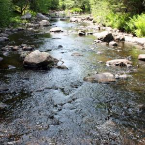 The LeCore property on the Sheepscot River. Courtesy of Midcoast Conservancy