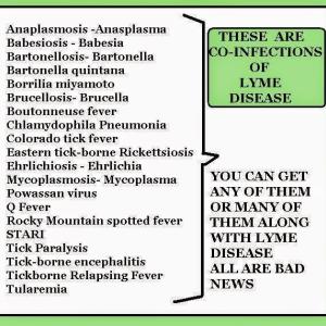 Chart courtesy of Paula Jackson Jones
