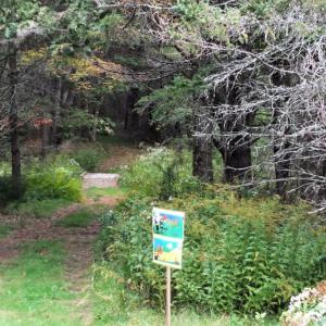 A scene along the Halloween Story Trail at Boothbay Region Land Trust. LISA KRISTOFF/Boothbay Register