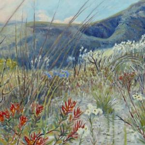 “Fynbos, Mixed Landscape,” 18” x 24”, oil by John M. T. Seitzer. See this painting and others by John and Lynne Seitzer used as the illustrations for “Come Walk In the Fynbos With Me.” Courtesy of Lynne Seitzer
