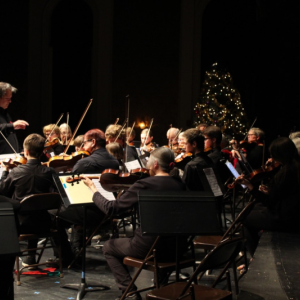 Ferdinand Liva of the DaPonte Quartet directs Seacoast Orchestra’s mezza and avanzata musicians. Courtesy of Jenny Begin