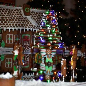 Most Spectacular Gingerbread 2019: “Gingerbread Skate-tacular!” The gingers skated on a mirrored revolving rink. Great details! Created by Sam Michael/Sam’s Electric and Mike Regino. LISA KRISTOFF/Boothbay Register