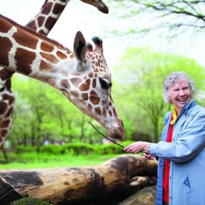 Dr. Anne Innis Dagg feeding giraffes at the Brookfield Zoo, Chicago 2016. Elaisa Vargas photo Dr. Anne Innis Dagg