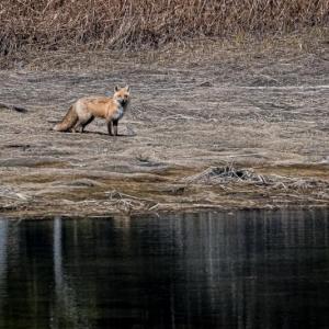 Martin Grassie photo