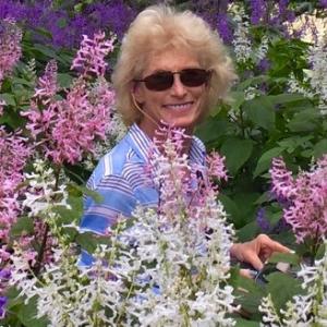 Diane J. Blasco