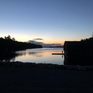 #bird-column, #boothbay-register, #weatherby’s, #AllisonWells #JeffandAllisonWells, #birds, #maine