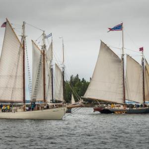 Photo of Schooners Ladona and Stephen Taber. Credit: Fred LeBlanc