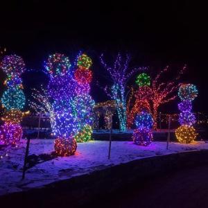 Gardens Aglow 2019. File photo