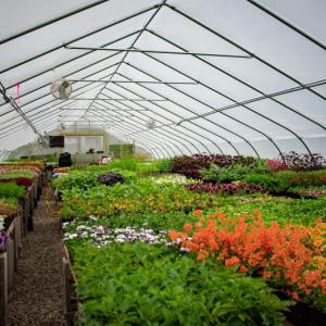The Gardens' new greenhouse helps horticulturists grow local produce onsite as well as ecologically sound, fauna-friendly native plants for buffer zones and perimeter spaces. Courtesy photo