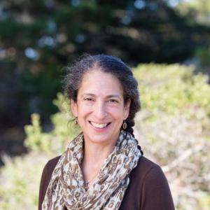 Lissa Widoff, interim executive director of Midcoast Conservancy. Courtesy photo