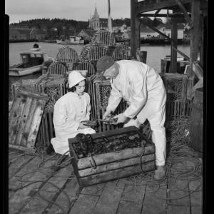 Photo donated to the Boothbay Region Fisheries Collection by the Department of Marine Resources. Courtesy of BRMF