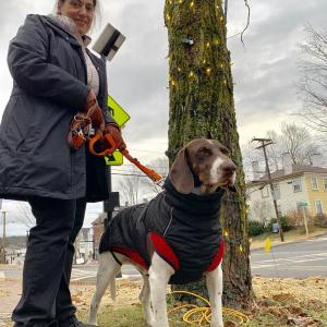 Cynthia Pappas and Philo enjoy a Thanksgiving Day 2019 walk in downtown Wiscasset. File photo
