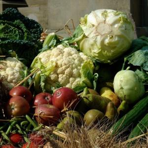 Thanksgiving vegetables. Courtesy of the University of Maine Cooperative Extension