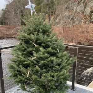SUSAN JOHNS/Wiscasset Newspaper