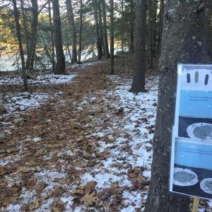 A distant, but not too distant, view of Hodgdon Cove is just ahead after one of the pages from “Over and Under the Snow,” along BRLT’s Story Trail. LISA KRISTOFF/Boothbay Register