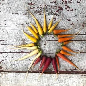 The Veggies To Table/ SH Modern Art Collaboration = organic art. Courtesy of Veggies To Table