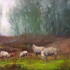 Ann Scanlan