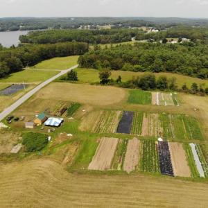 In this aerial photograph of Coastal Rivers’ Salt Bay Farm taken in 2018, Twin Villages Foodbank Farm’s fields can be seen in the foreground. Chapman Field and Forest is the area in the upper right on the other side of the hedgerow. Courtesy of Tom Field