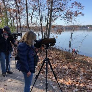 Birders will see a beautiful variety of migratory birds on a Mid-Coast Audubon outing. Courtesy of Gail Presley