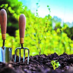Home gardeners and small farms are invited to “Grow A Row” for Lincoln County Gleaners’ program. File photo