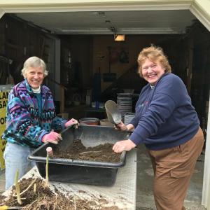 Garden Club of Wiscasset members Sally Howe and Jan Flowers pot plants April 28 for the club’s annual plant sale Saturday, May 8. Emily Adler photo